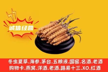 石台县回收冬虫夏草